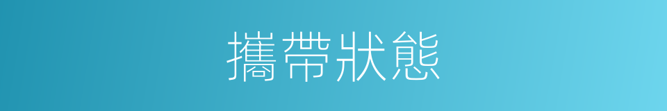 攜帶狀態的同義詞
