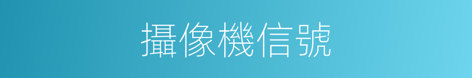 攝像機信號的同義詞