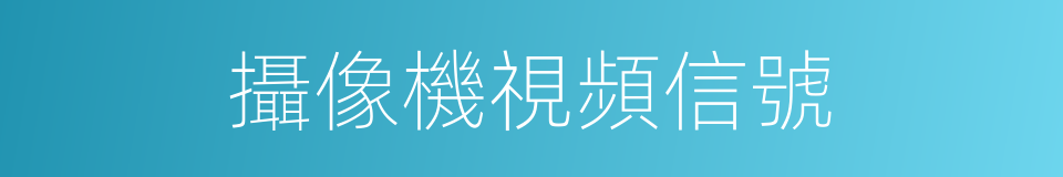 攝像機視頻信號的同義詞