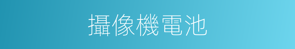 攝像機電池的同義詞