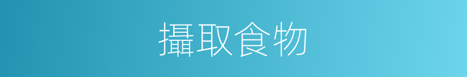 攝取食物的同義詞