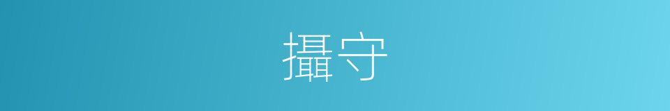 攝守的意思