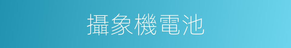 攝象機電池的同義詞