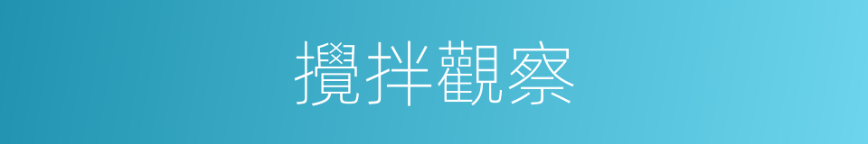 攪拌觀察的同義詞