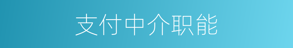 支付中介职能的同义词