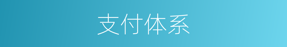 支付体系的同义词