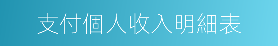 支付個人收入明細表的同義詞