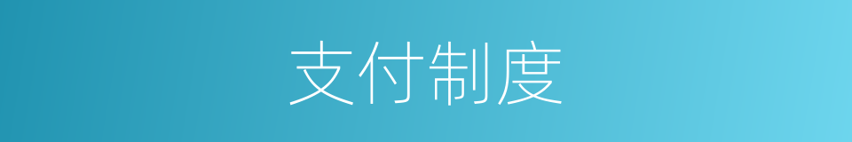 支付制度的同义词