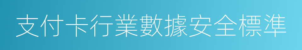 支付卡行業數據安全標準的同義詞