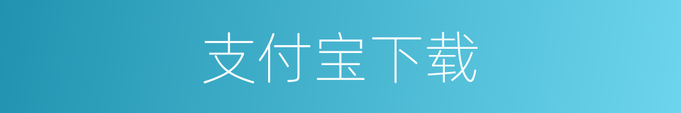 支付宝下载的同义词