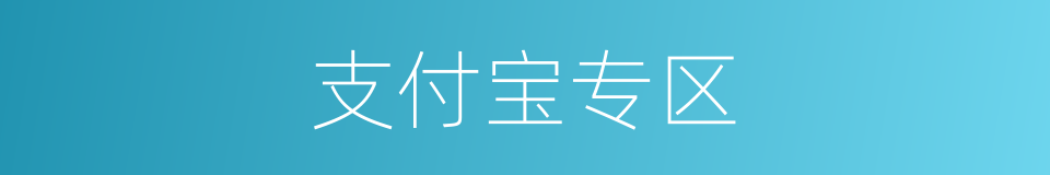支付宝专区的同义词