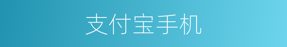 支付宝手机的同义词
