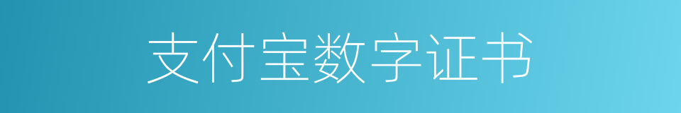 支付宝数字证书的同义词