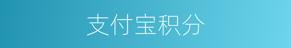 支付宝积分的同义词