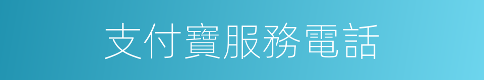 支付寶服務電話的同義詞