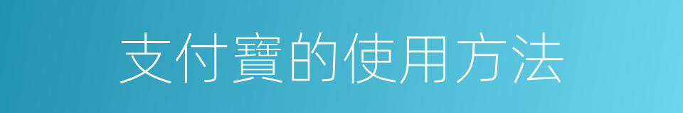 支付寶的使用方法的同義詞