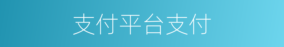 支付平台支付的同义词