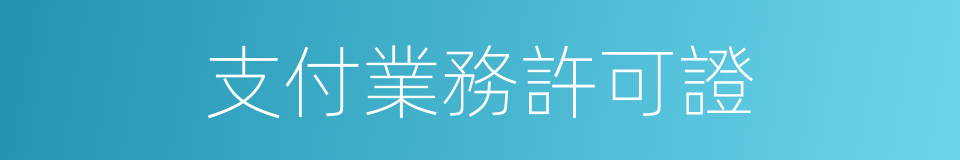 支付業務許可證的同義詞