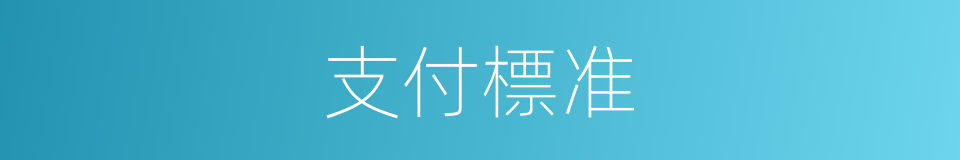 支付標准的同義詞