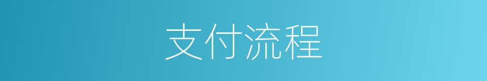 支付流程的同义词