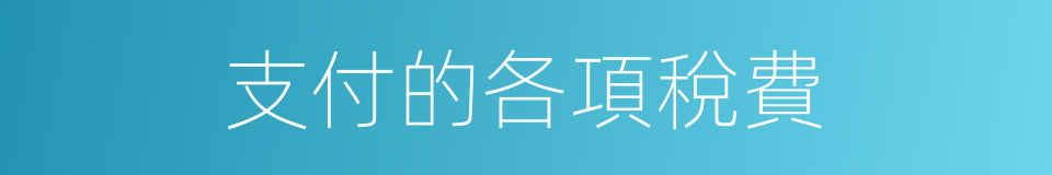 支付的各項稅費的同義詞