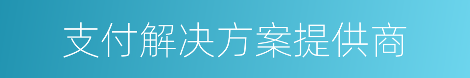 支付解决方案提供商的同义词