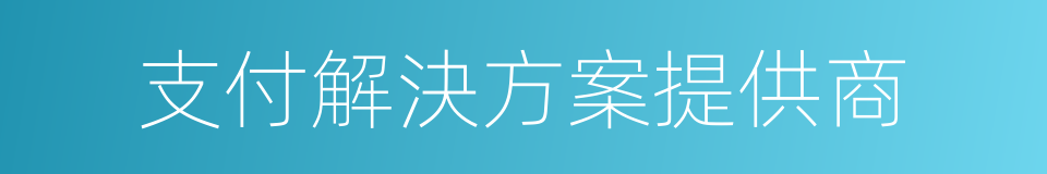 支付解決方案提供商的同義詞