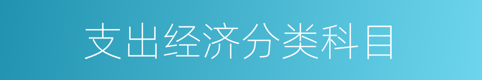 支出经济分类科目的同义词