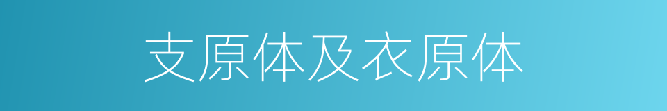 支原体及衣原体的同义词