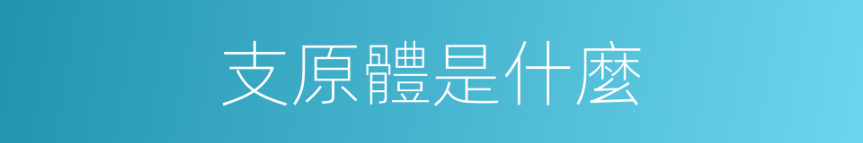 支原體是什麼的意思
