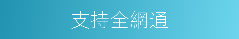 支持全網通的同義詞