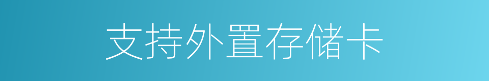 支持外置存储卡的同义词