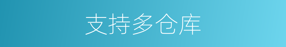 支持多仓库的同义词
