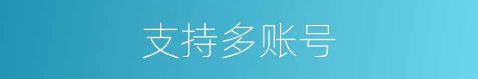 支持多账号的同义词