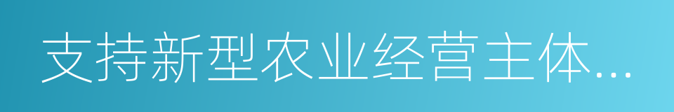 支持新型农业经营主体发展的同义词