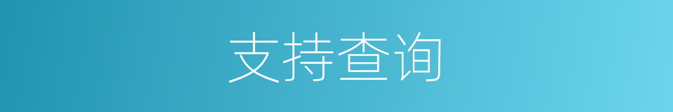 支持查询的同义词