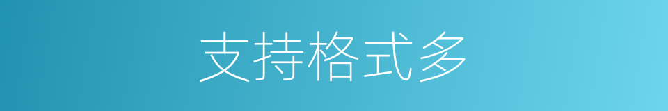 支持格式多的同义词