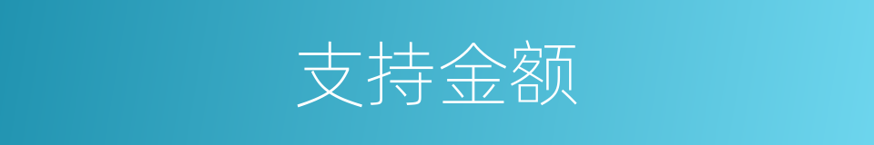 支持金额的同义词