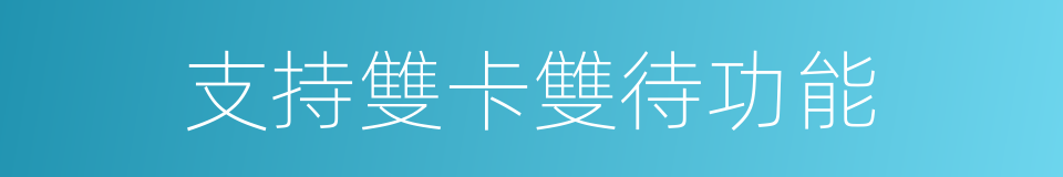 支持雙卡雙待功能的同義詞