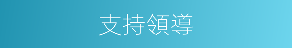 支持領導的同義詞