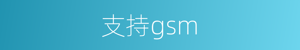 支持gsm的同义词