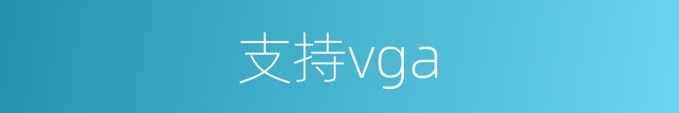 支持vga的同义词