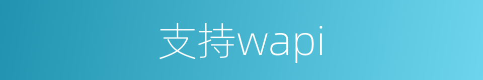支持wapi的同义词