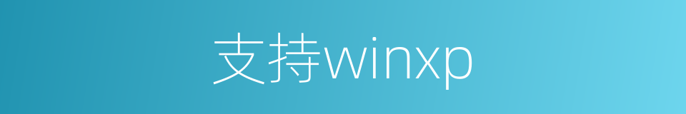 支持winxp的同义词