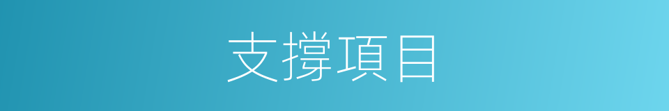 支撐項目的同義詞