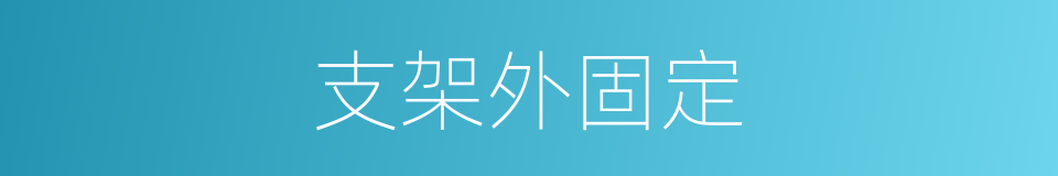 支架外固定的同义词