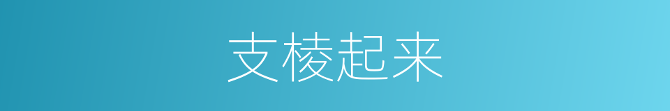 支棱起来的同义词