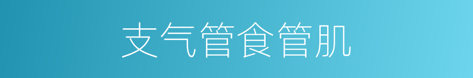 支气管食管肌的同义词