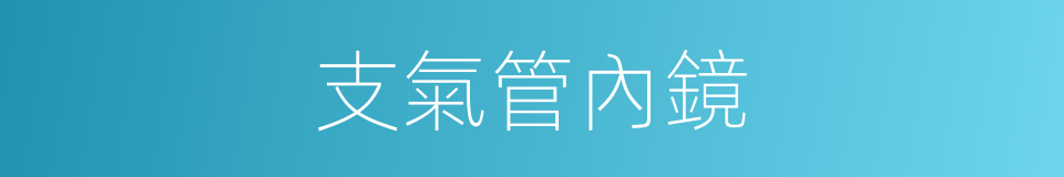 支氣管內鏡的同義詞