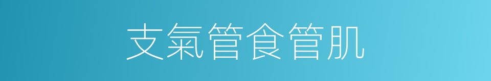 支氣管食管肌的同義詞